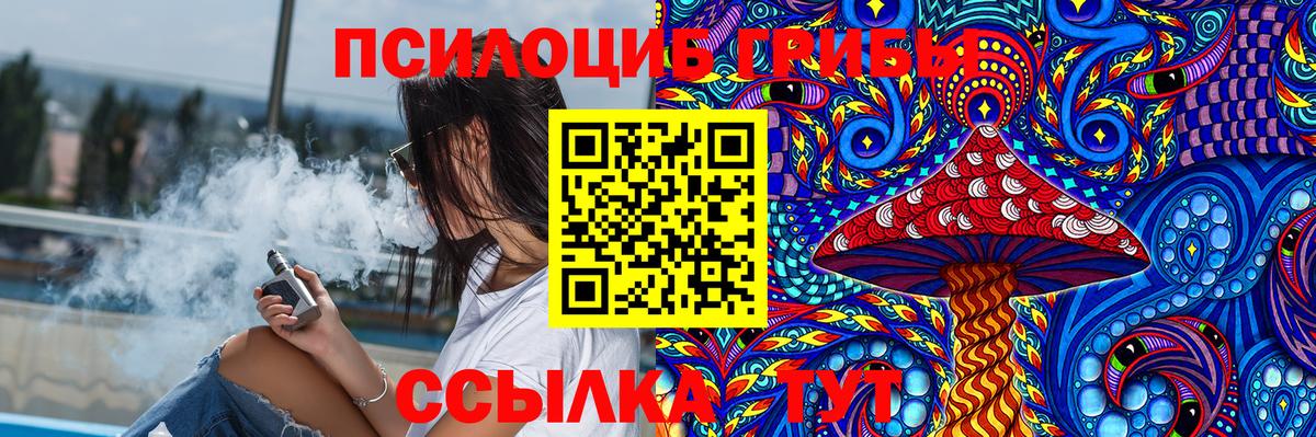 Псилоцибиновые грибы Psilocybe  Вход с VPN  Канаш  Галлюциногенные грибы прущие грибы 